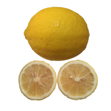 Good Farm cheap price citrus fruits fresh lemon wholesale